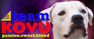 Team Kovu Banner